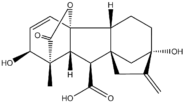 赤霉素GIBBERELLIC ACID，居然有這么神奇？